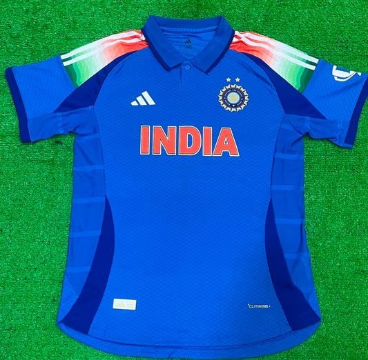 PLAYER VERSION INDIA ODI 2024